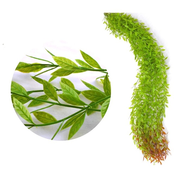 🌼 - Picture 2 of 3